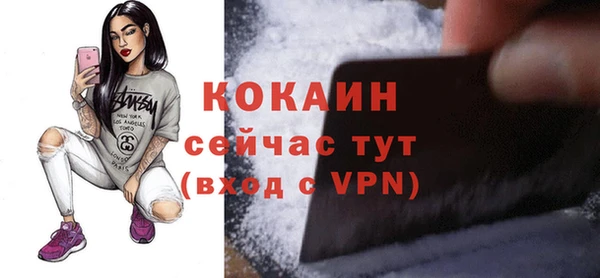 твердый Карпинск