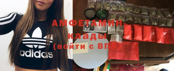 твердый Карпинск