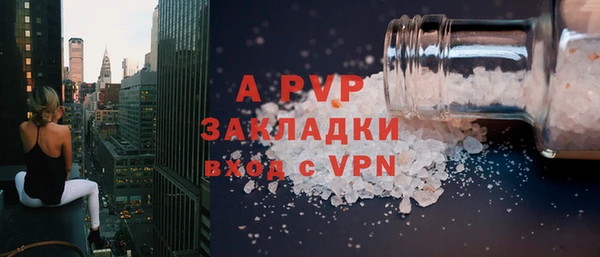 спайс Касимов