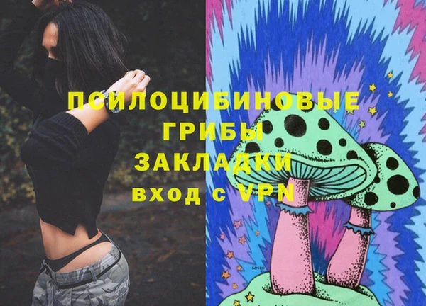 стаф Кинешма